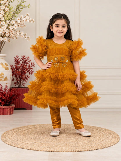 Floral Fancy Net Frock