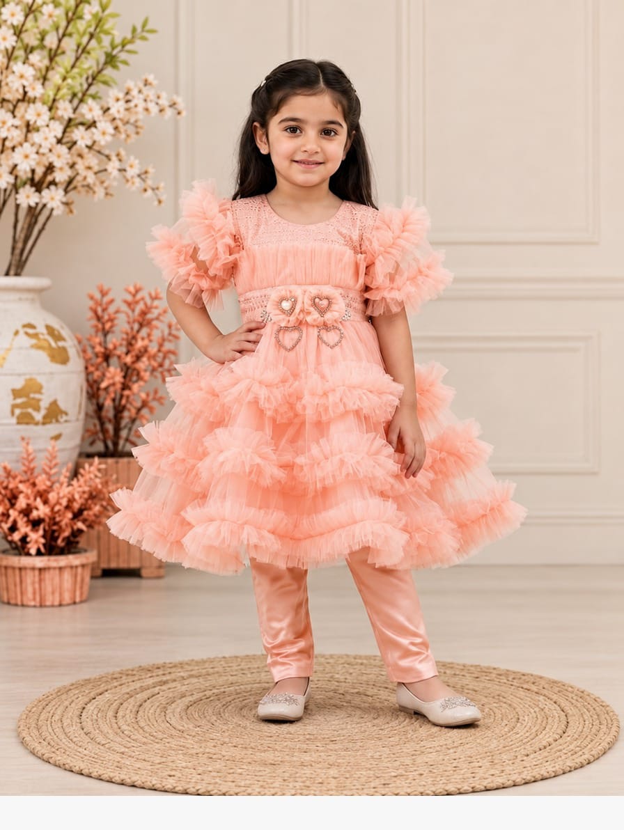 Floral Fancy Net Frock